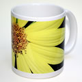 Helianthus lemon mug 0216